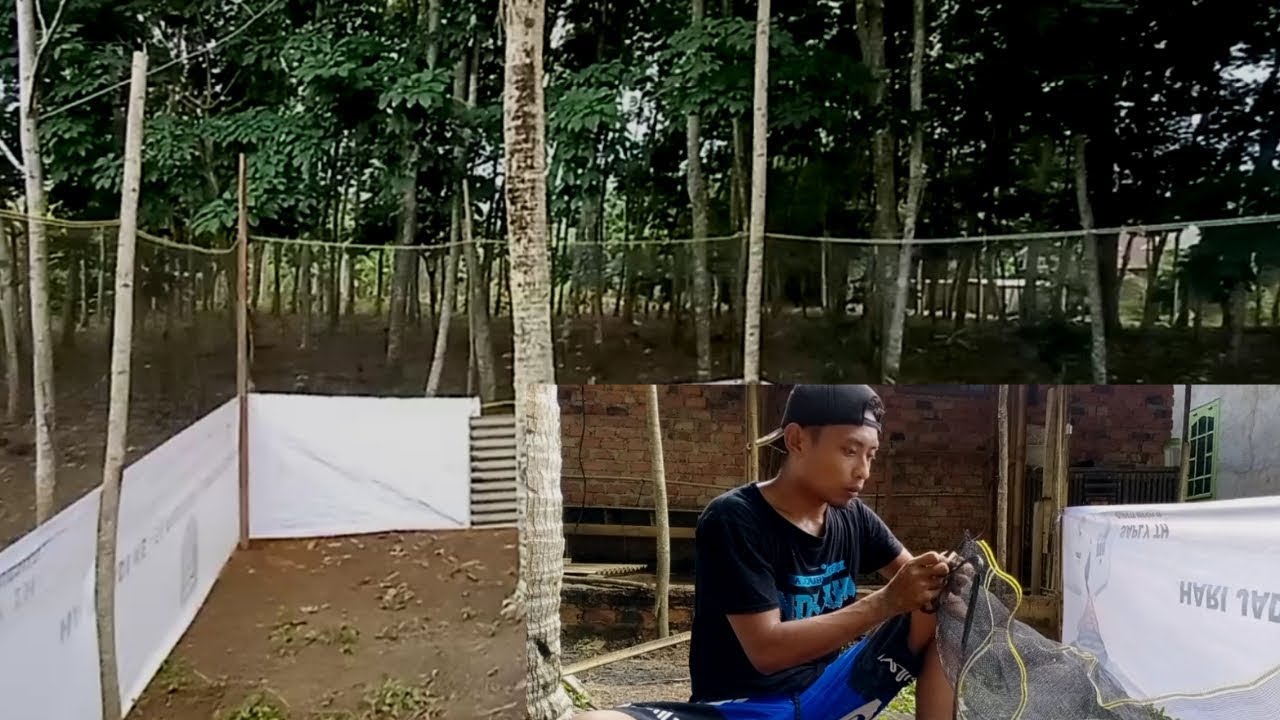 Membuat umbaran ayam