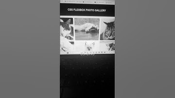 #codeeveryday day 1 - explored css flexbox and making images look attractive