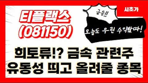 티플랙스(081150) 희토류!? 금속 관련주유동성 띄고 올려줄 종목