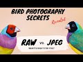 RAW vs JPEG - What's right for you? - Bird Photography Secrets Revealed - Jan Wegener Vlog