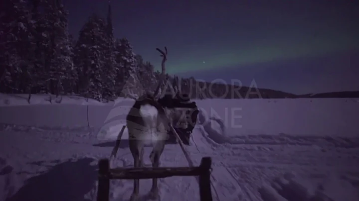 Northern Lights Reindeer Sleigh Ride in Harriniva