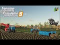 Farming Simulator 19 - Рассвет - 29 - Убираем свеклу