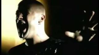 Disturbed Stricken Music Video