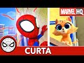 Spidey e Seus Amigos Espetaculares: S.O.S. Gatinho