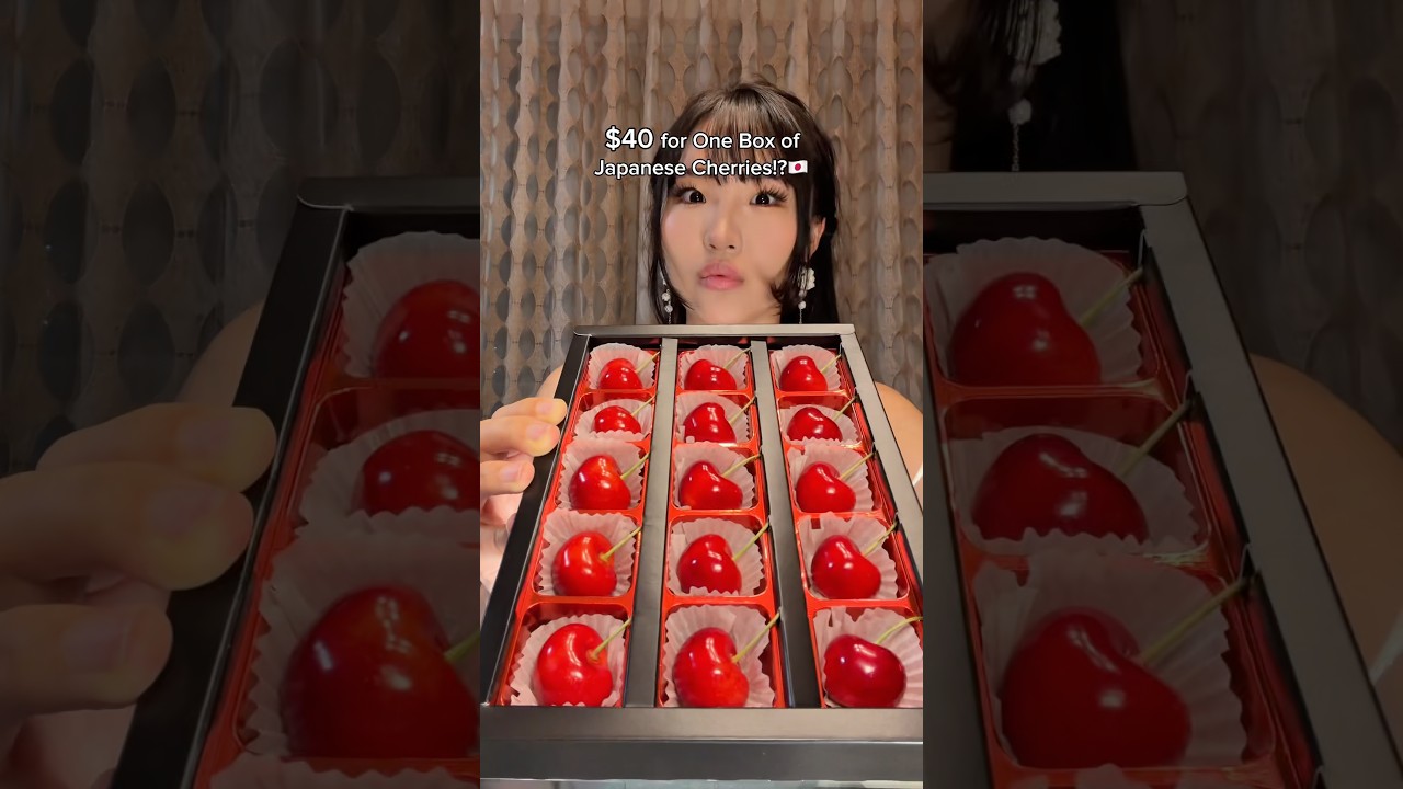$40 for ONE Box of Japanese Cherries!?