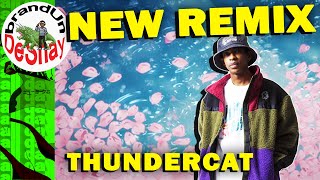 Thundercat - Lone Wolf and Cub Remix [Prod. brandUn DeShay] (2015)