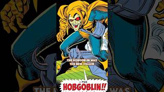 Who is The Hobgoblin? 💥👺