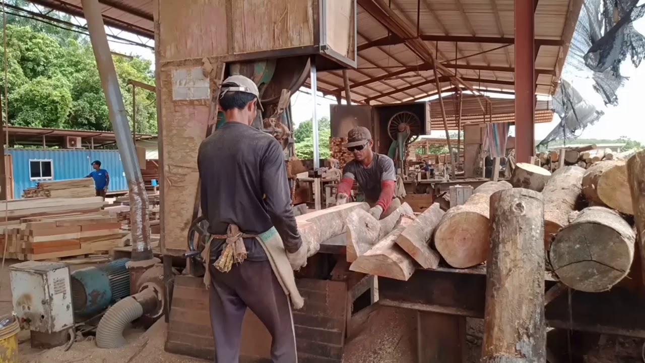 Balak 8 kaki potong 4 kaki dah kering bengkok lagi YouTube