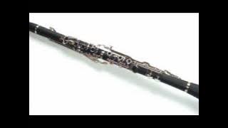 Klarnet Muzika dushi (Armyanskaya melodiya).wmv