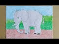 Hướng dẫn bé vẽ  con voi đơn giản/How to draw an elephant