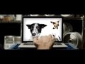 G Suite x Squarespace Present: Kombucha Dog (:15)