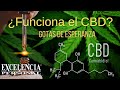 Porqué Funciona el CBD. Aceite de Cannabidiol. Con Nelly Canseco 🎙