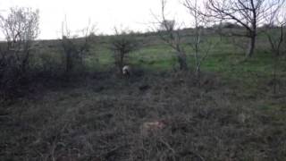 IMG 0458