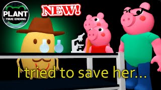 PIGGY 'TRUE' ENDING FOUND & HOW TO GET IT Chapter 12 Plant  (Roblox)