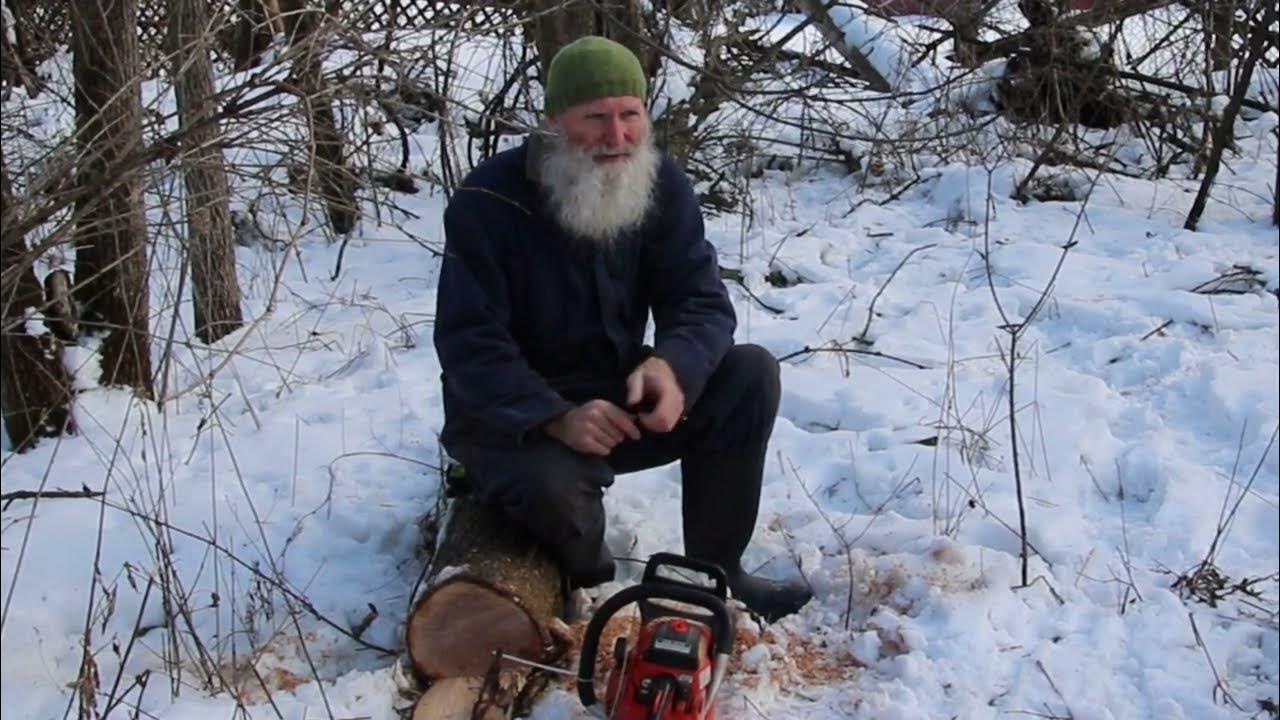 Cutting a dead fall tree for firewood YouTube