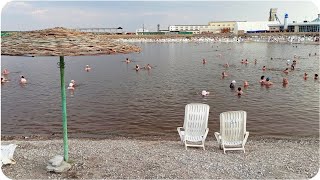 Лечебные РачкИ Артемия салина, живущие в соленом озере. Курорт Соль-Илецк Оренбургской области.