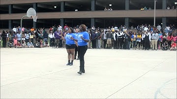 Michigan State University NPHC Yard Show- Zeta Phi Beta 2012