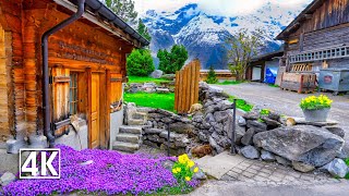 Switzerland 🇨🇭 Gimmelwald, beautiful mountain village in the Swiss Alps