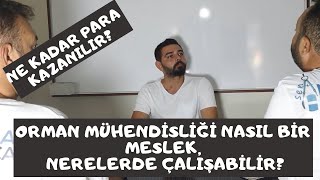 Orman Mühendi̇sli̇ği̇ Yazacaklar Di̇kkat Ne Kadar Para Kazanilir ? Ne İş Yapar ? Nerelerde Çalişilir?