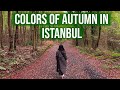 COLORS OF AUTUMN IN ISTANBUL | Ataturk Arboretum