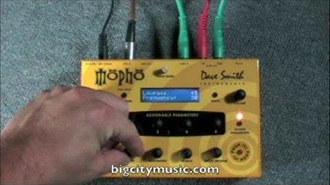 DSI MoPho Feedback Loop (Dave Smith Instruments)