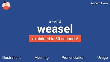 WEASEL - Meaning and Pronunciation