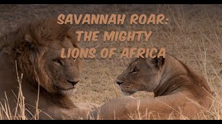 Savannah Roar: The Mighty Lions of Africa screenshot 4