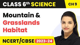 Class 6 Science Ch 9| Mountain & Grasslands Habitat- The Living Organisms Characteristics & Habitats Net Worth