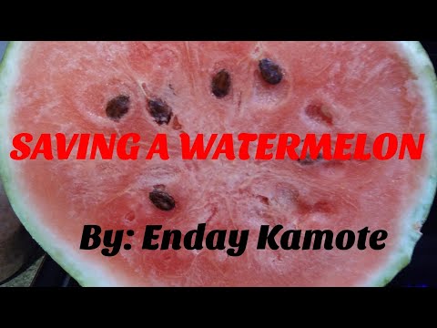 How to store Watermelon in the freezer {} Enday Kamote