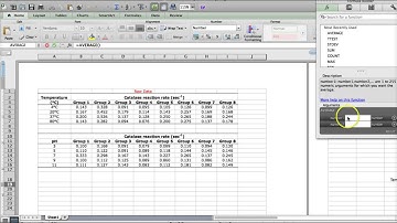 Catalase Report Excel Calculations I