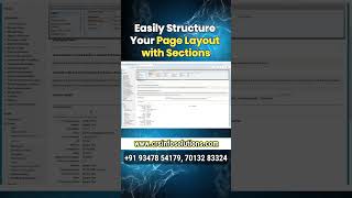 🎨 Layout Organization: How to Structure Page Layouts with Sections! 🗂️