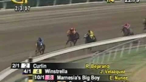 Curlin - 2007 Maiden Race