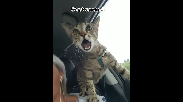 LES VACANCES!!!!!!!!!!!!!!