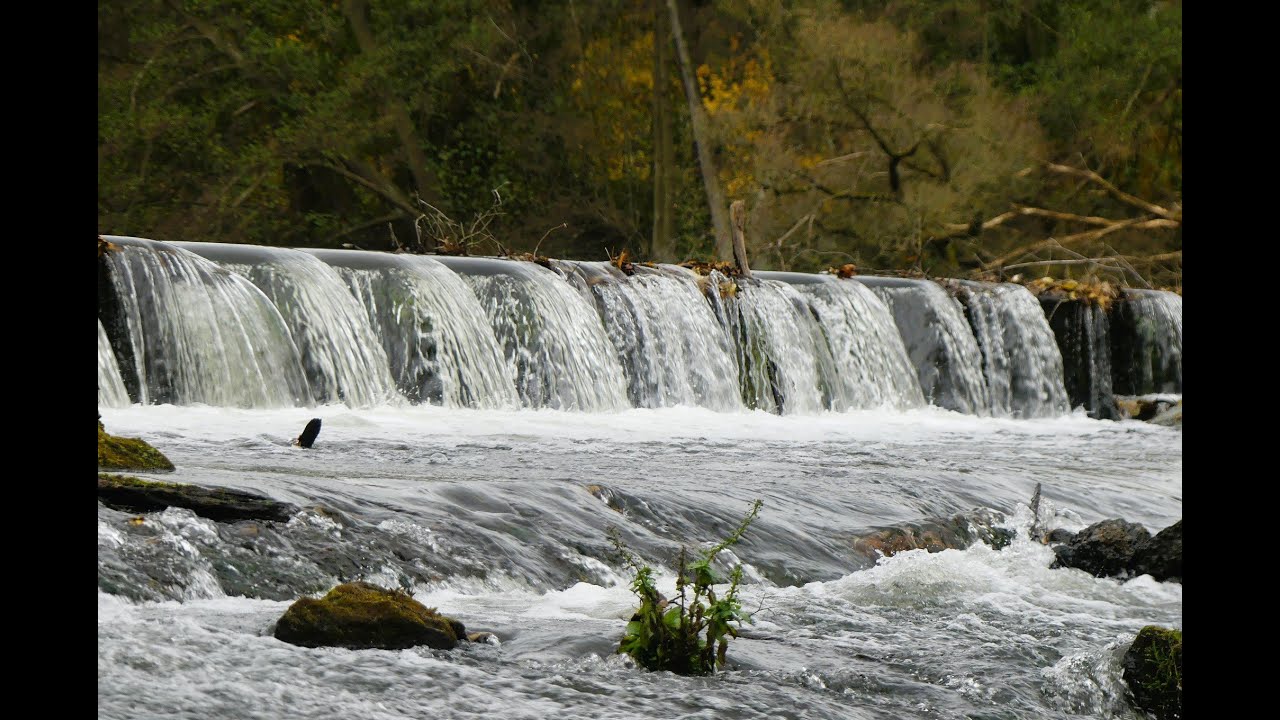 Von Kreuzau/Schneidhausen in Flussrichtung bis zur Kuhbrücke und ruraufwärts wieder zurück.