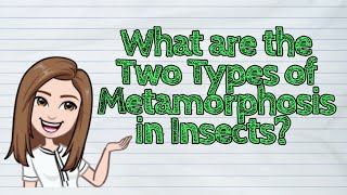 (SCIENCE) What are the Two Types of Metamorphosis in Insects? | #iQuestionPH