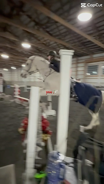rest in peace oaky 💗🕊️ I didint own him* #horse #ponymalta #horseriding #viralvideo #pony