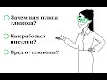 Что такое инсулин? Зачем нужна глюкоза? ОСНОВНЫЕ термины о которых должен знать каждый.