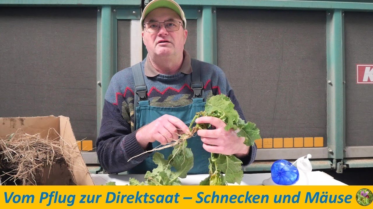 Vom Pflug zur Direktsaat - Thema Schnecken und Mäuse