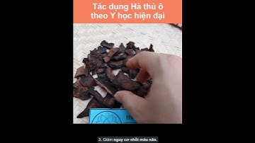 Tác dụng của Hà thủ ô theo Y học hiện đại