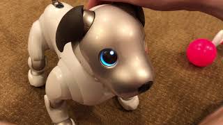 Sony Aibo Ers-1000 Unboxing