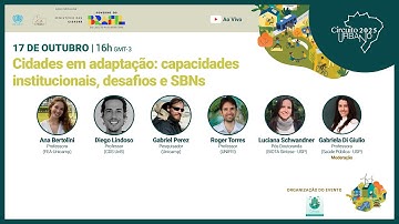 Cidades em Adaptação: Capacidades Institucionais, Desafios e SBNs