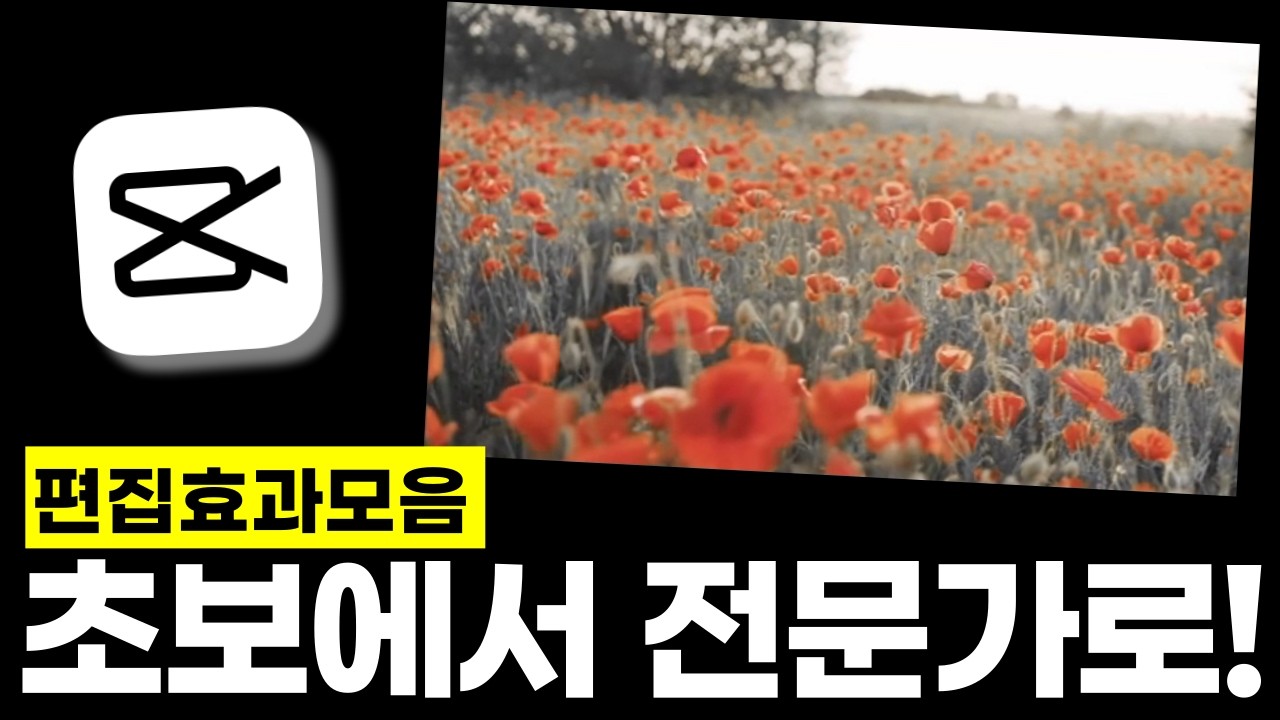 캡컷PC 전문가가 되는 10가지 편집방법