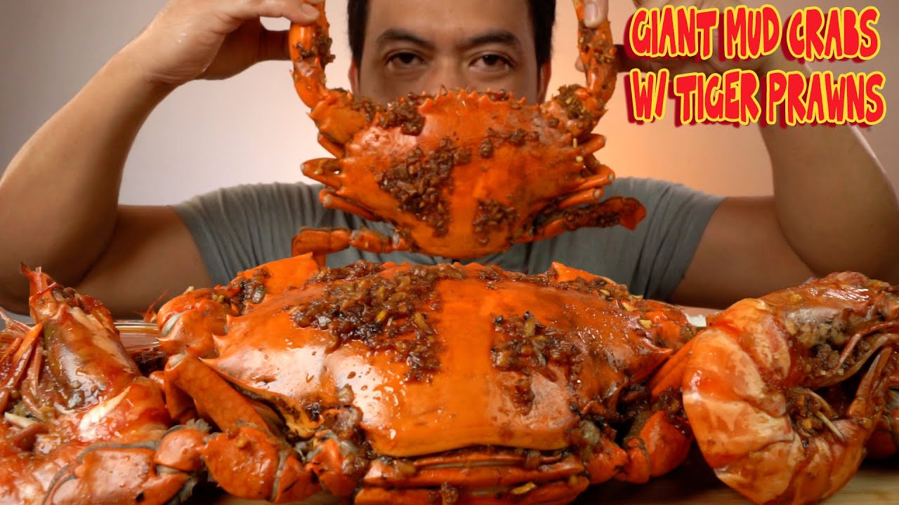 GIANT CRABS With TIGER PRAWNS YouTube