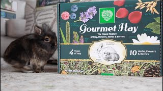 All About Gourmet Hay! Bon Appétit | Small Pet Select