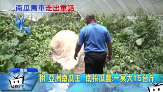 20170621中天新聞　「灰姑娘馬車」怎長成？南瓜王重達600公斤