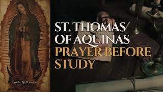 St. Thomas Aquinas Prayer Before Study