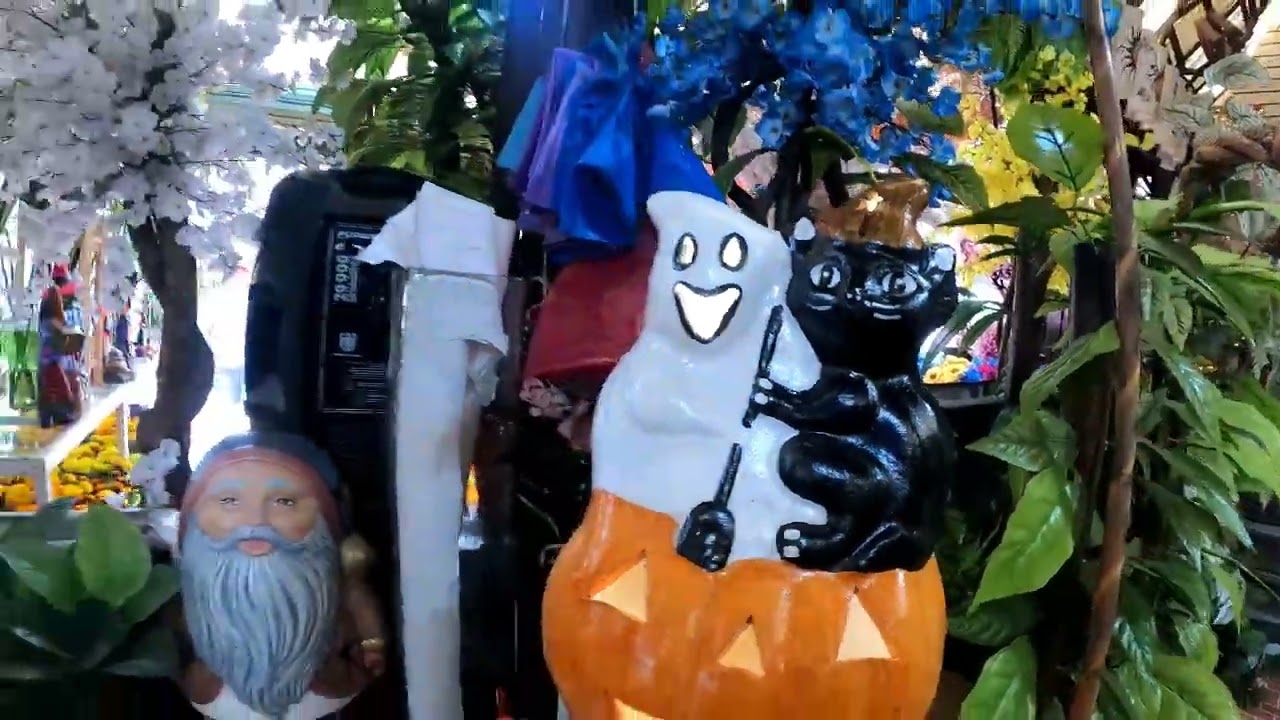 MERCADO DE PLANTAS Y FLORES, CUEMANCO, XOCHIMILCO/VENTA DE ARTICULOS PARA DIA DE MUERTOS🎃🎃🎃🎃