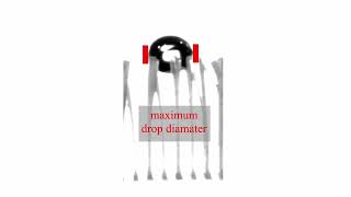 Movie 3: Maximum drop spread at vertical fiber tips, We = 9.4 | Rible et al., Phys. Fluids 2025
