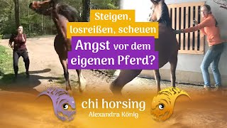 Steigen, losreißen, scheuen - Angst vor dem eigenen Pferd? Sicherheit durch Pferdesprache