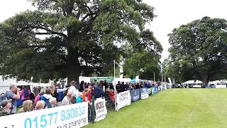 Sea Eagle At The Scottish Game Fair 2017 screenshot 3